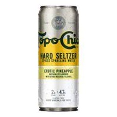 TOPO CHICO AN*310ML