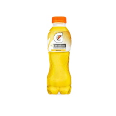 GATORADE S/A *500ML
