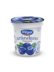TREGAR YOGUR *160GR