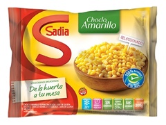 CHOCLO SADIA *300GR