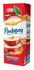 JUGO PINDAPOY*200ML